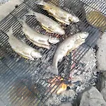 Retro Hurka Lipno