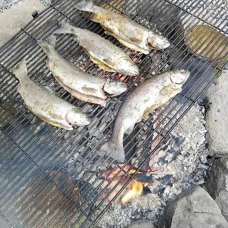 Retro Hurka Lipno